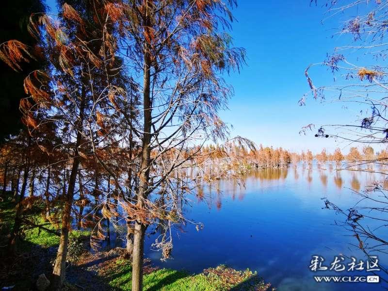 人的情绪不稳当是什么原因?-实时问答平台,解答你的疑问