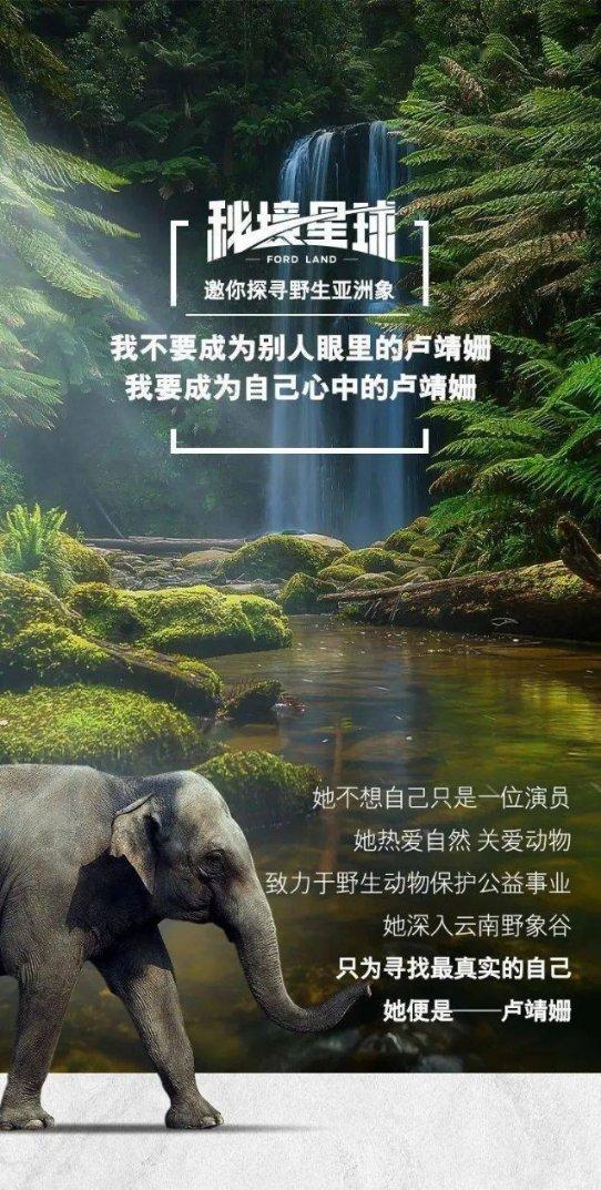 88影视